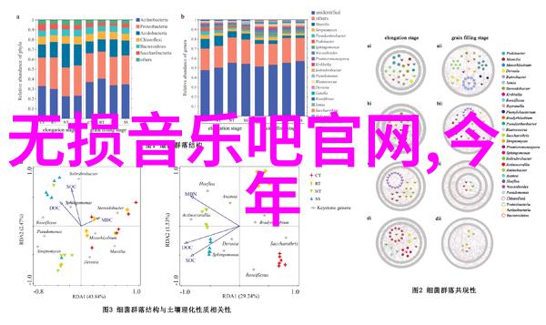 爱情与权谋揭秘最新电视剧2020最火的背后故事