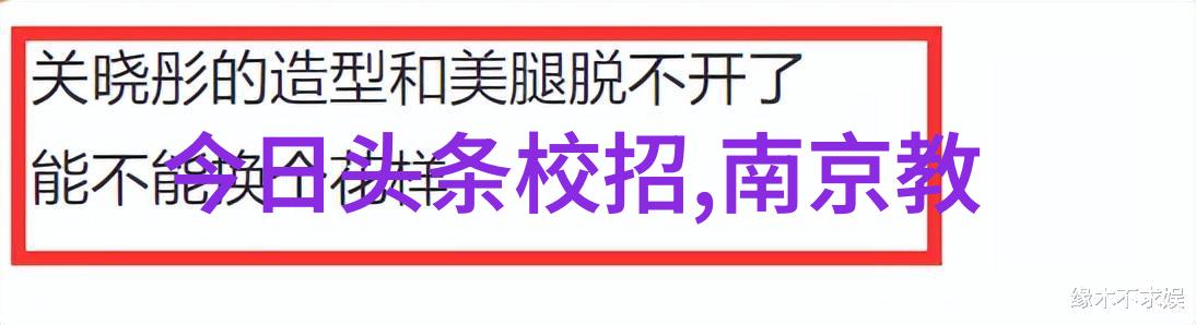 作为主题的探索与挑战