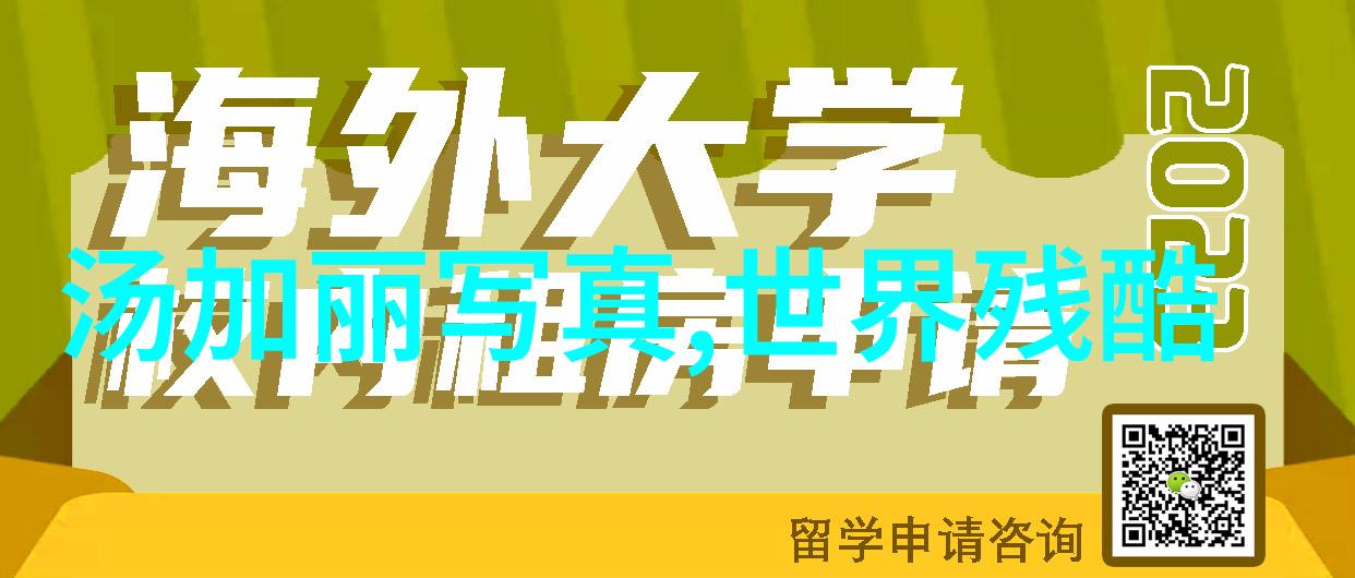 国际政治局势紧张多边合作面临挑战与机遇并存