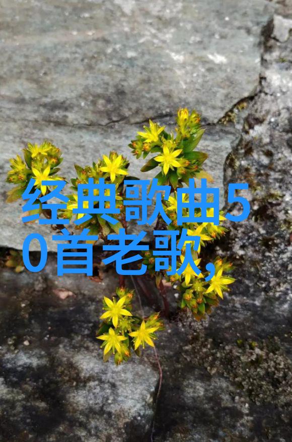 镜头背后真实与虚幻的交织