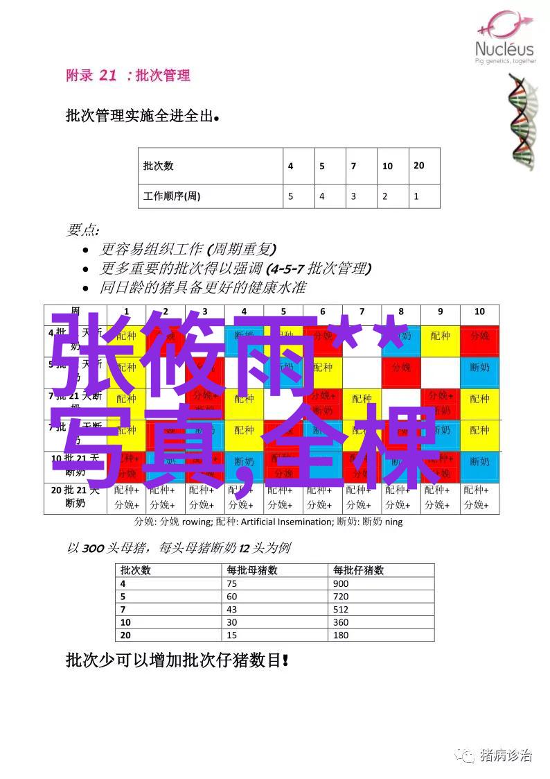 冬日暖阳时光温馨的冬季时光