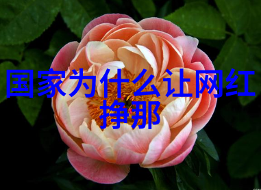 绚彩缤纷探索最令人赞叹的画卷