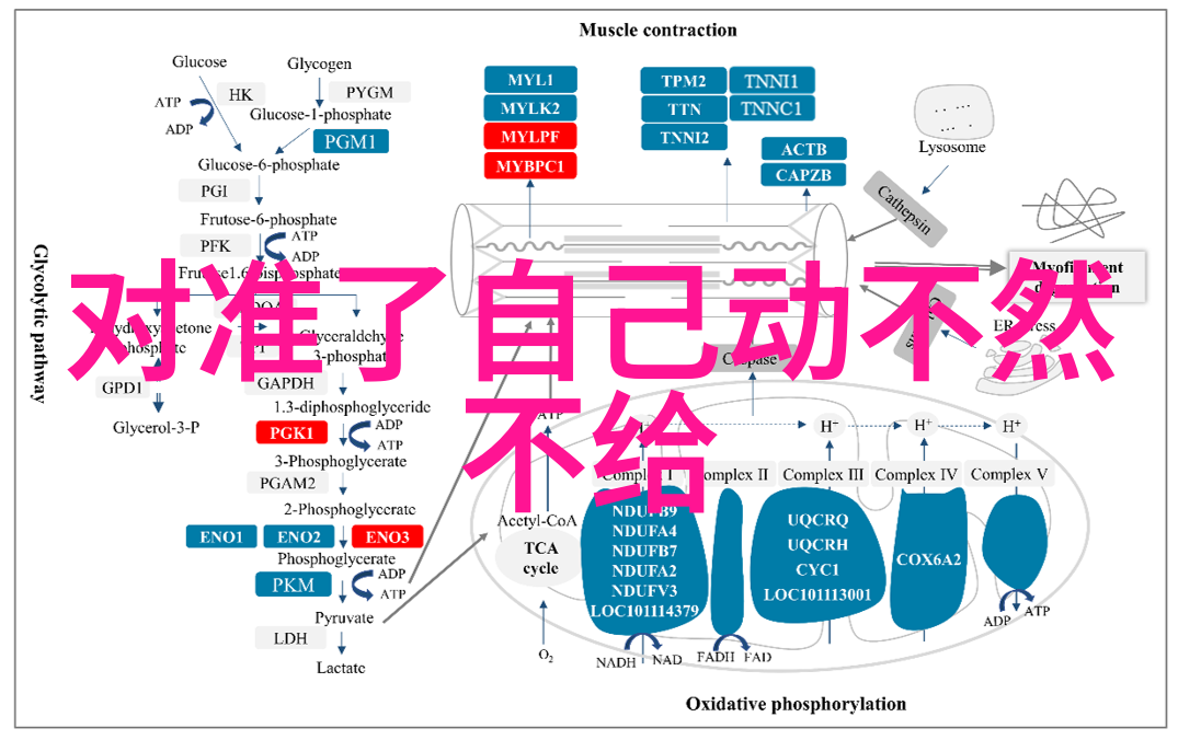 口诀背后的武学奥秘探索请以后天八卦罡步中的武林深意