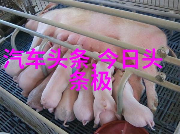 影视天堂免费下载最新最全影视大全