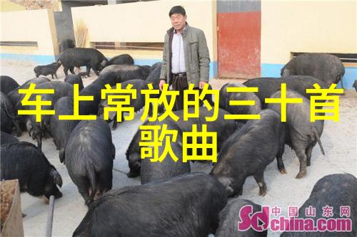 四虎影视与版权问题解决方案与挑战