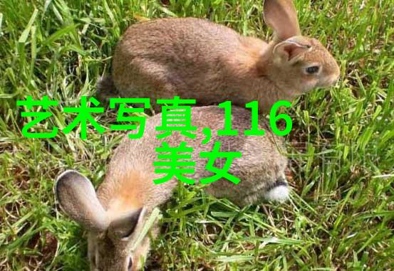 尸变图鉴变化电子版高清完整探索未死生物的神秘变异