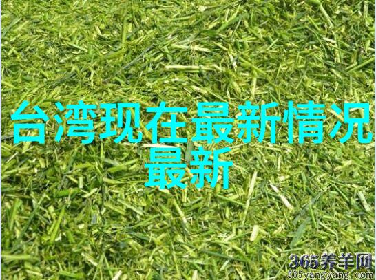 青春娱乐梦想探索新时代青年的休闲文化志趣