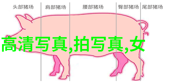 银河娱乐星际乐融汇聚梦想无限光芒闪耀