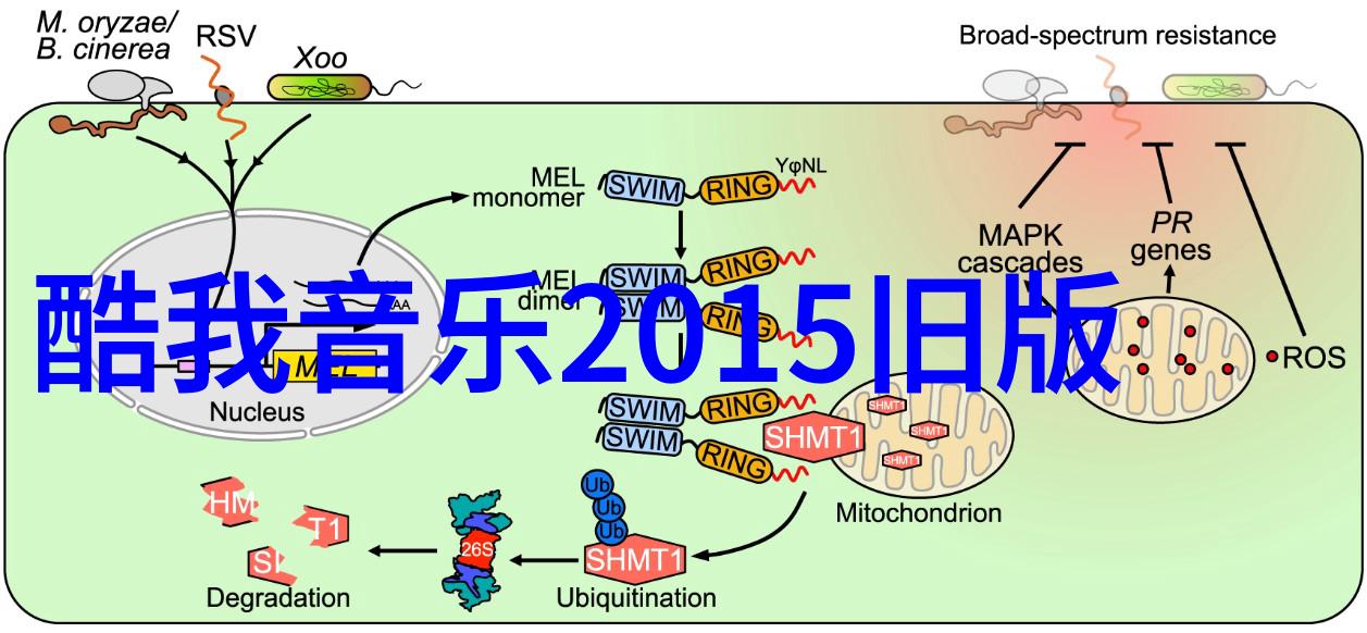 简笔画图片大全中的动物角色有哪些设计技巧