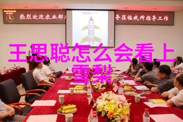 麻豆影视作品祝卿好剧情简介及主要人物角色关系解析在社会背景下的展现