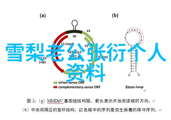 10级地震破坏力十级地震的强大破坏能力