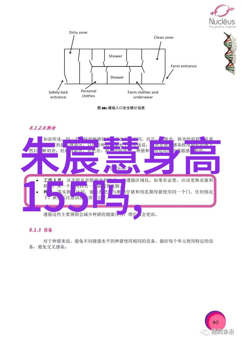 电影小品银幕上的梦想