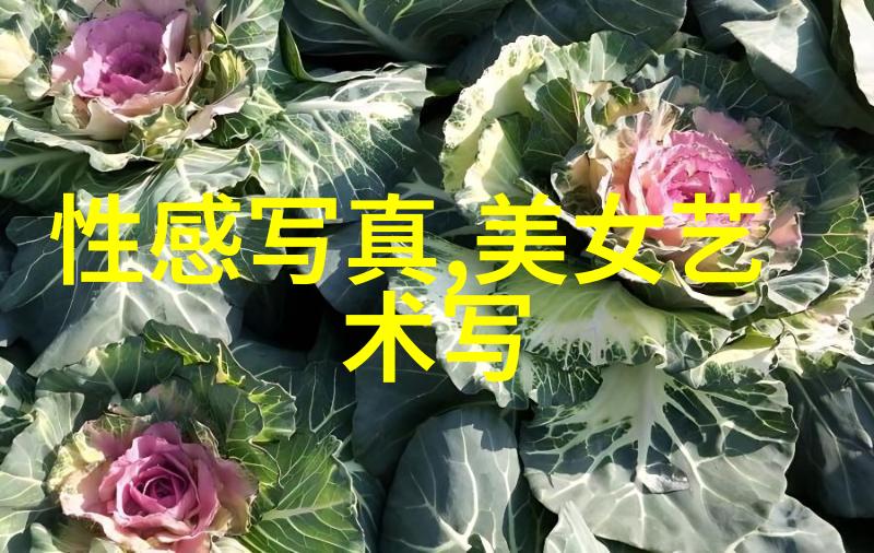 先后的应用范围是否仅限于个人命理还可以用于其他领域