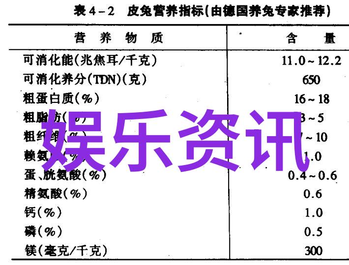 娱乐圈头条星光闪烁的梦想轮廓