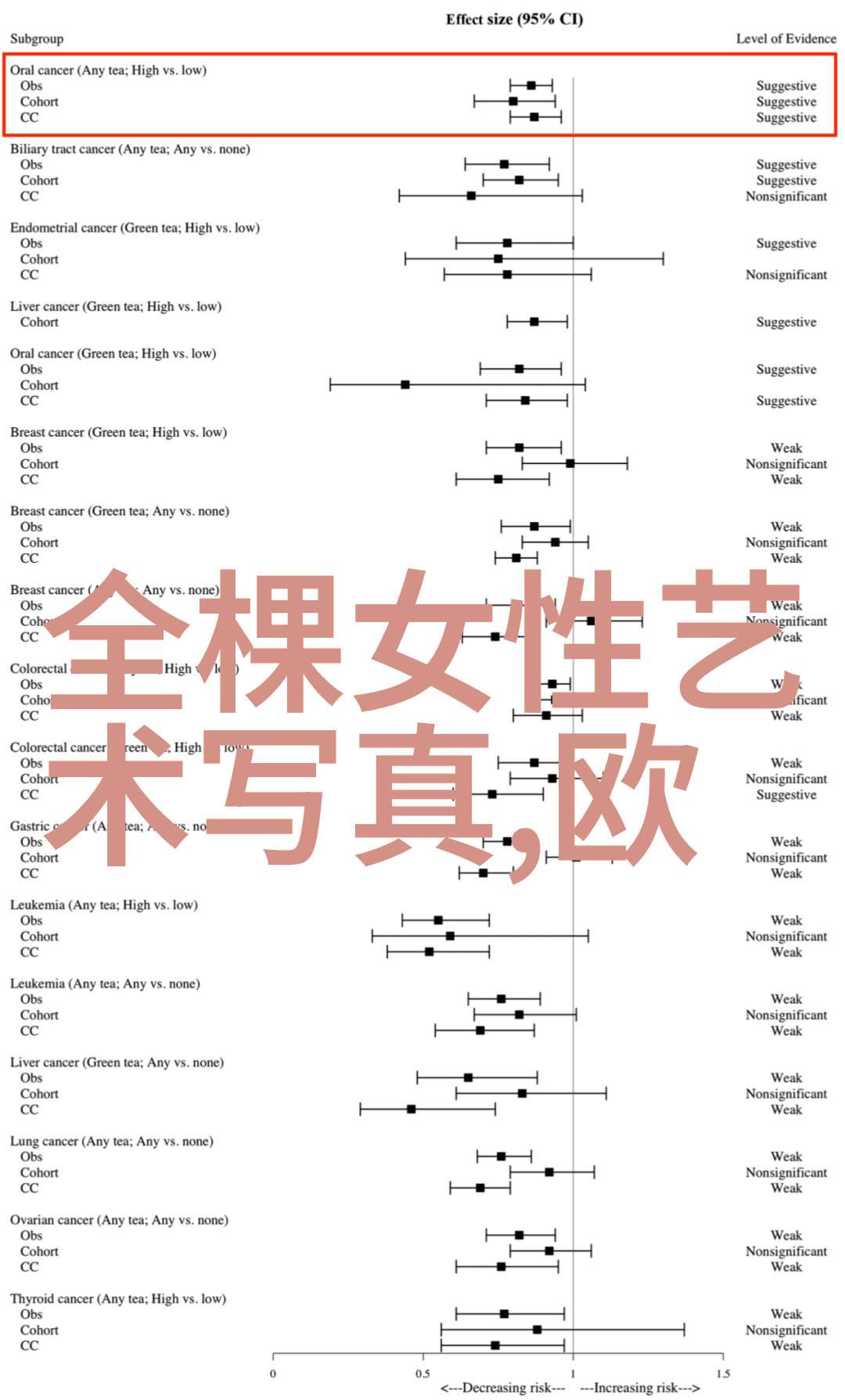 今日头条官网全面解析中国最具影响力的新闻聚合平台