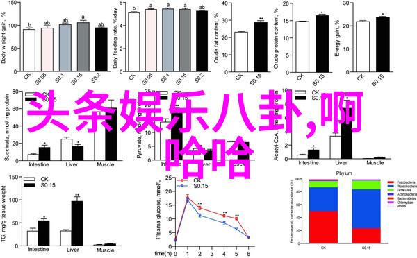 从对话到合作如何提升台湾与大陆的经济互动