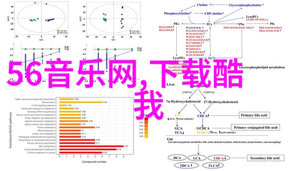 两岸合并后新国旗国号我们该如何设计一个让人心动的象征