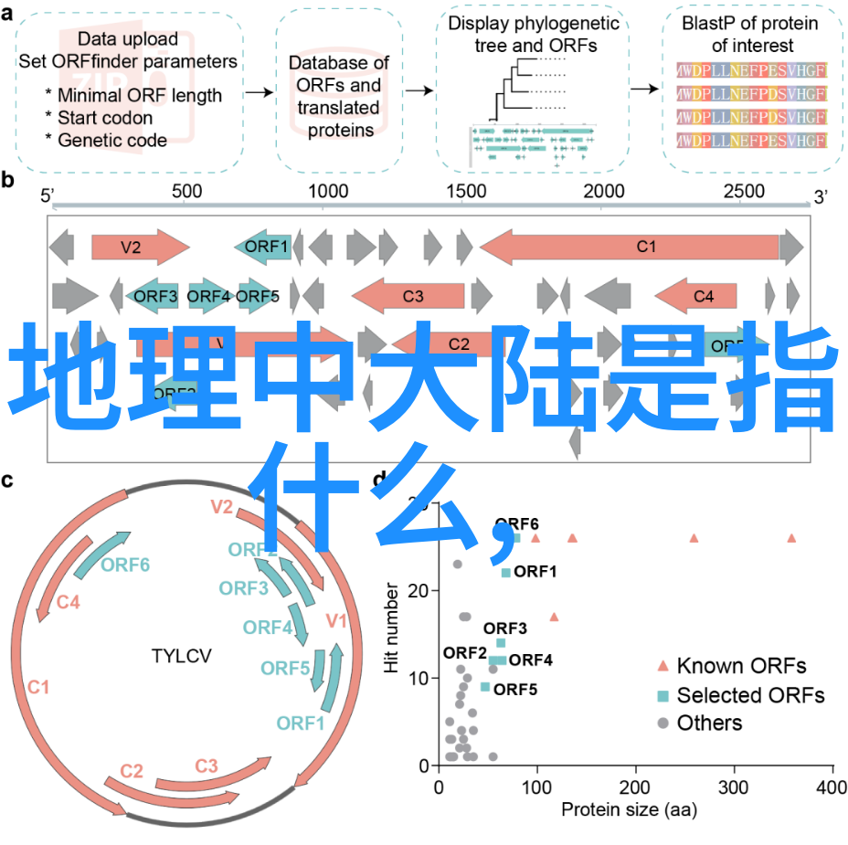 社交界最敏感话题张紫妍的旱路日常曝光