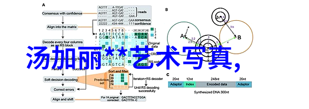 跨界合作奇迹电影巨星与电视剧的无缝对接