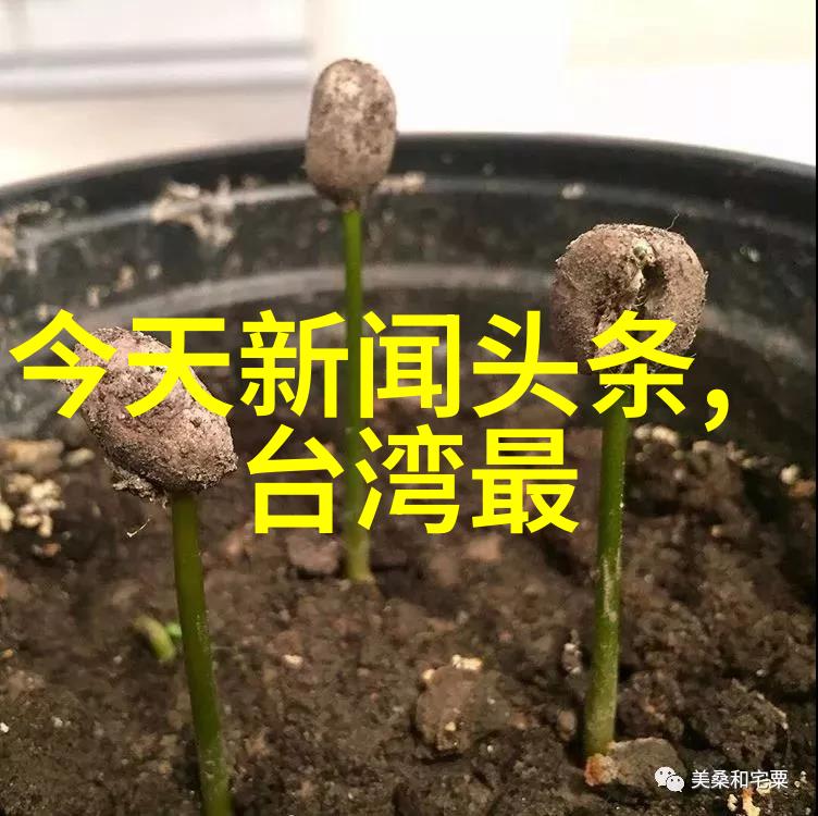 华夏智囊团中美关系新篇章