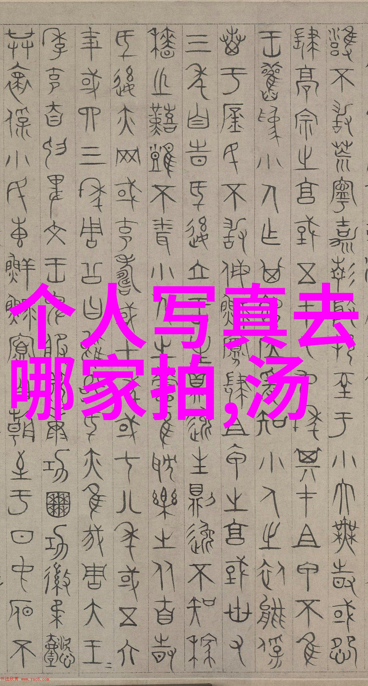 今日头条引领时事热点深度报道社会变迁