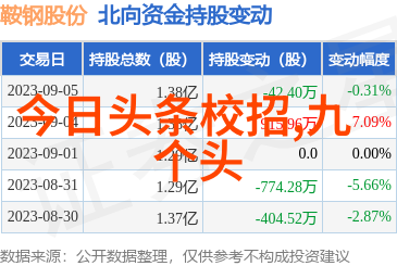 电影坚如磐石免费观看完整版2023年最新电影强力推荐