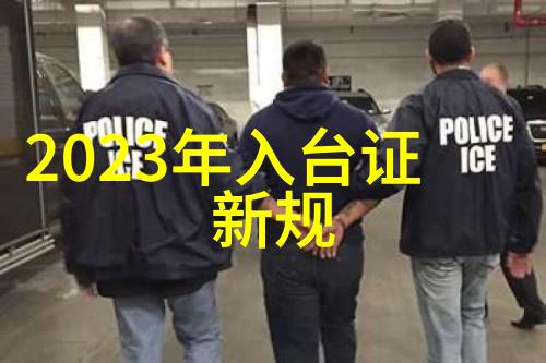 两岸关系暖化下的移民政策调整及其对台人的影响