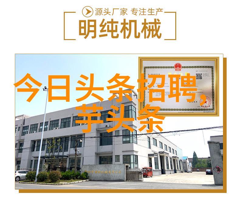 霸占阅读时光全文独享的力量与魅力