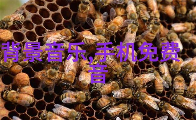 2022最火背景图片女生笑傲乾坤的美图小姐姐们