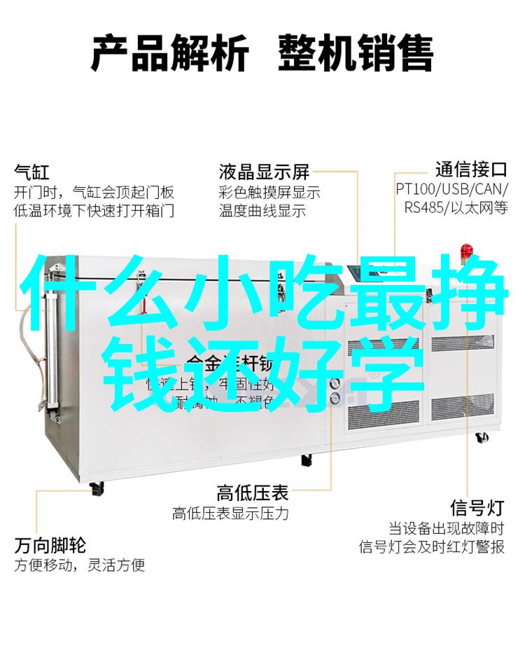 东北网红新势力冰雪美景下的流量天使