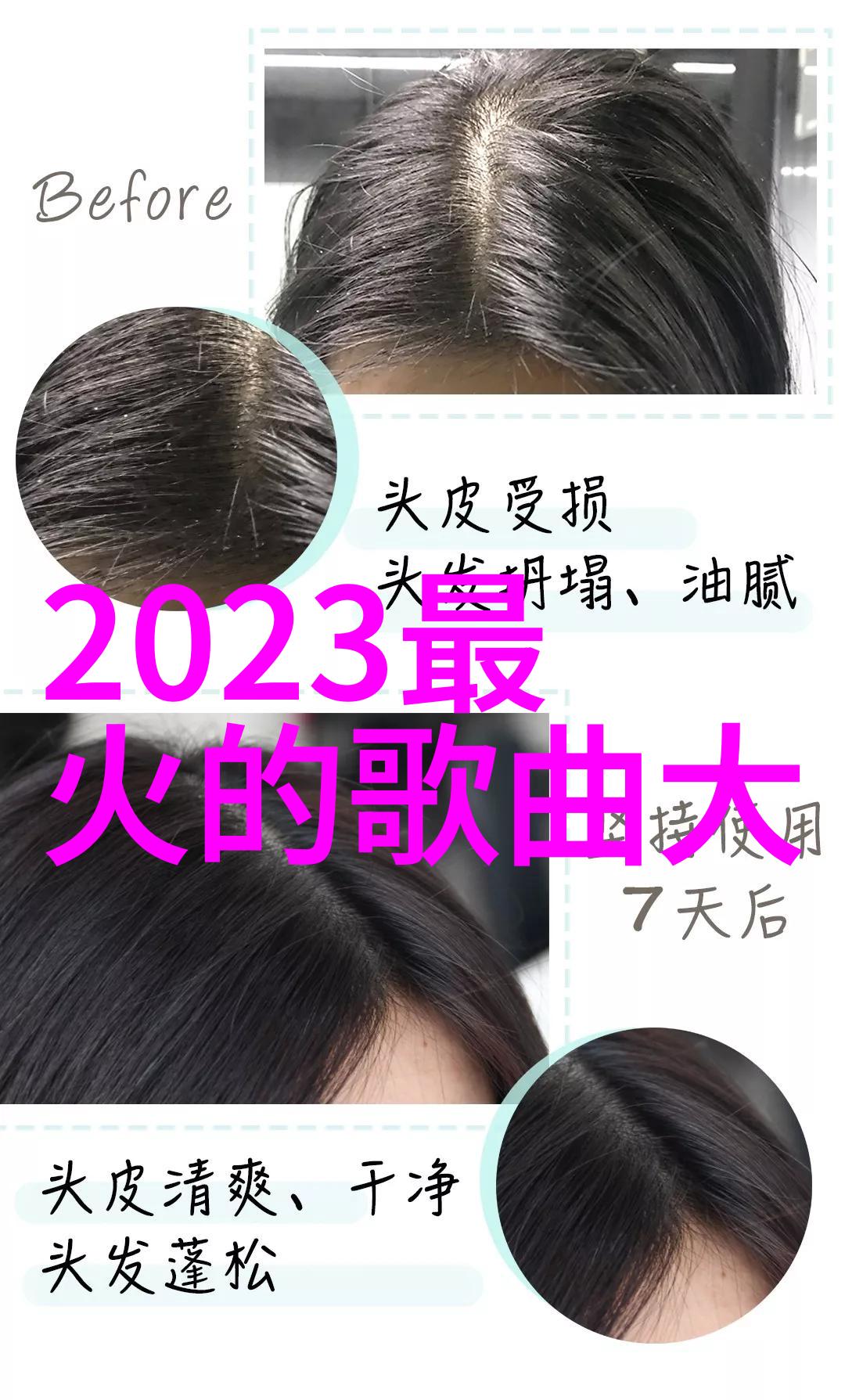 李云迪个人资料揭秘他为什么坐牢社会关注易经全文完整版白话文解读