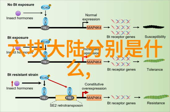 精彩瞬间一本书中的千幅记忆