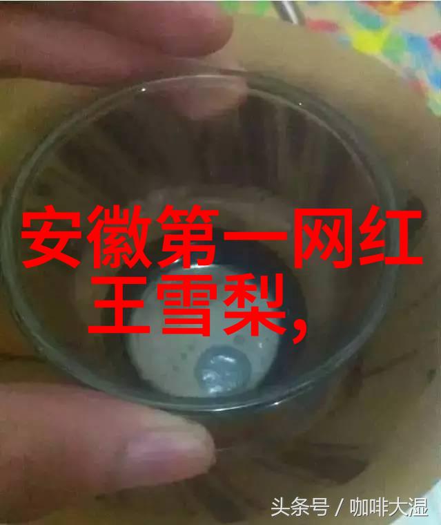 怀旧旋律八十年代经典老歌500首的回音