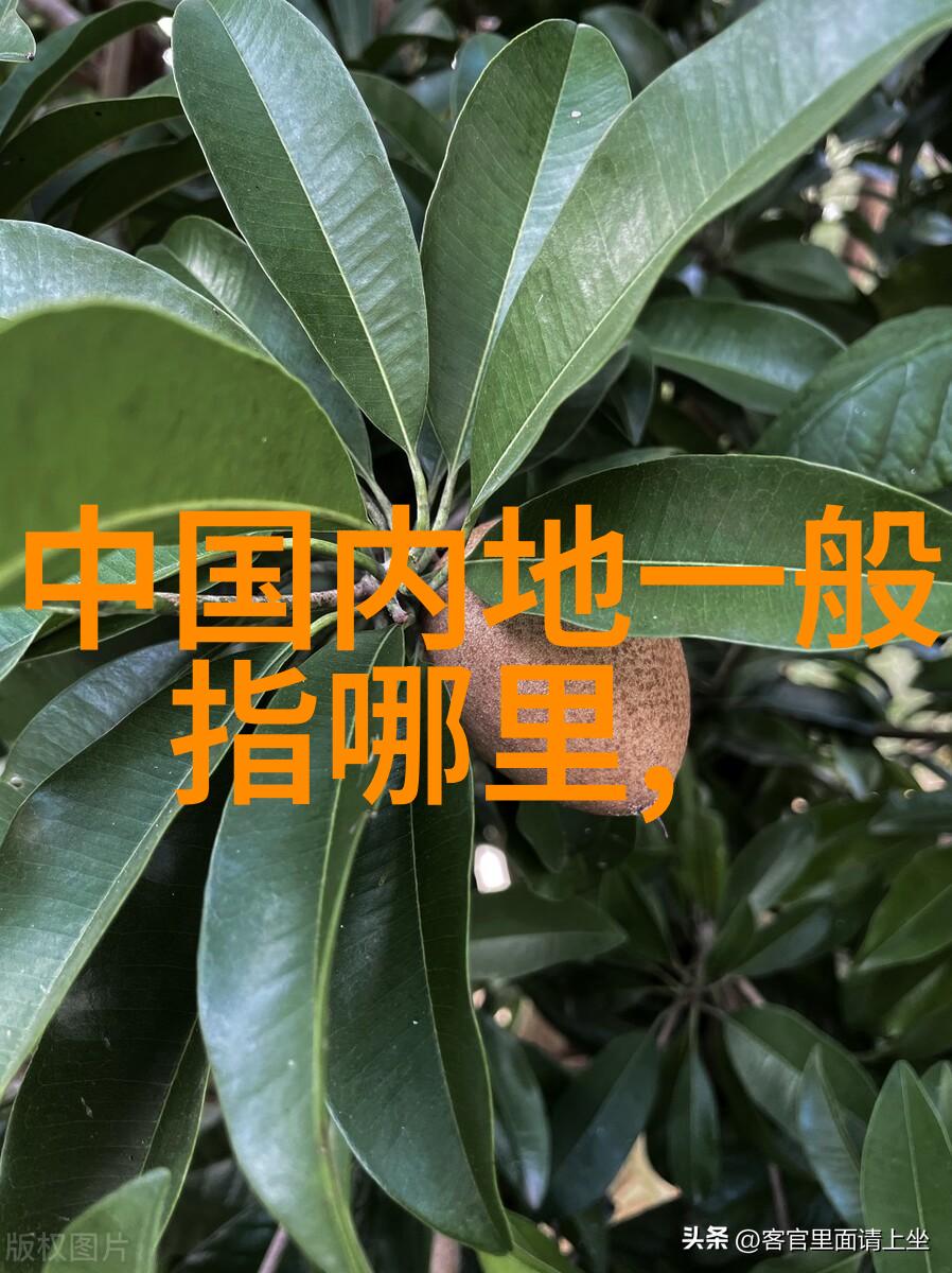 网易云音乐下载安装-轻松解锁音浪世界网易云音乐下载与安装指南