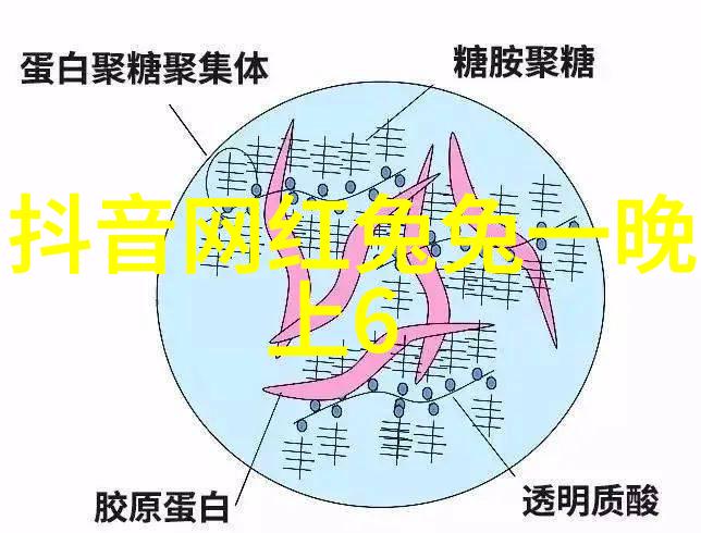 让我们一起揭开电影天堂中最神秘的剧本编写技巧