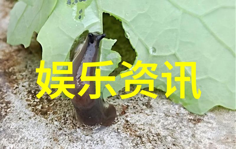 小小影视剖析儿童动画片在文化传承中的作用与意义