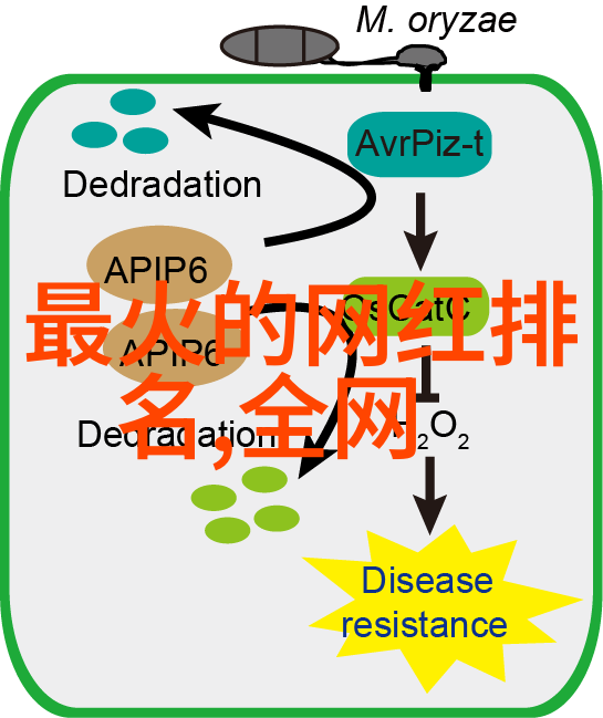 华丽的收规探索电视剧中的财富象征与社会价值观