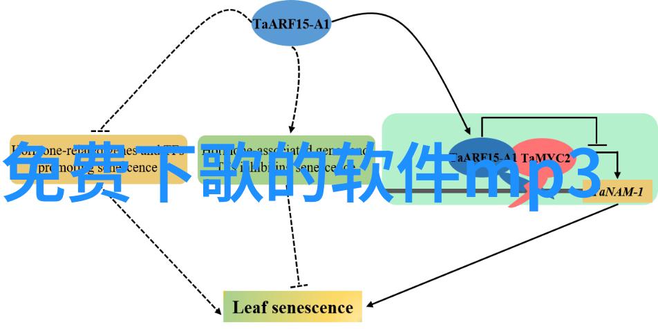 在七夕之际向佐和郭碧婷是否也准备好甜蜜的婚戒呢看他们依偎在一起耳语五行八卦图片大全正品都无法捕捉他们