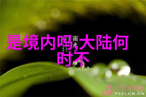 八卦图中的含义 - 揭秘古老智慧八卦图的哲学与文化内涵