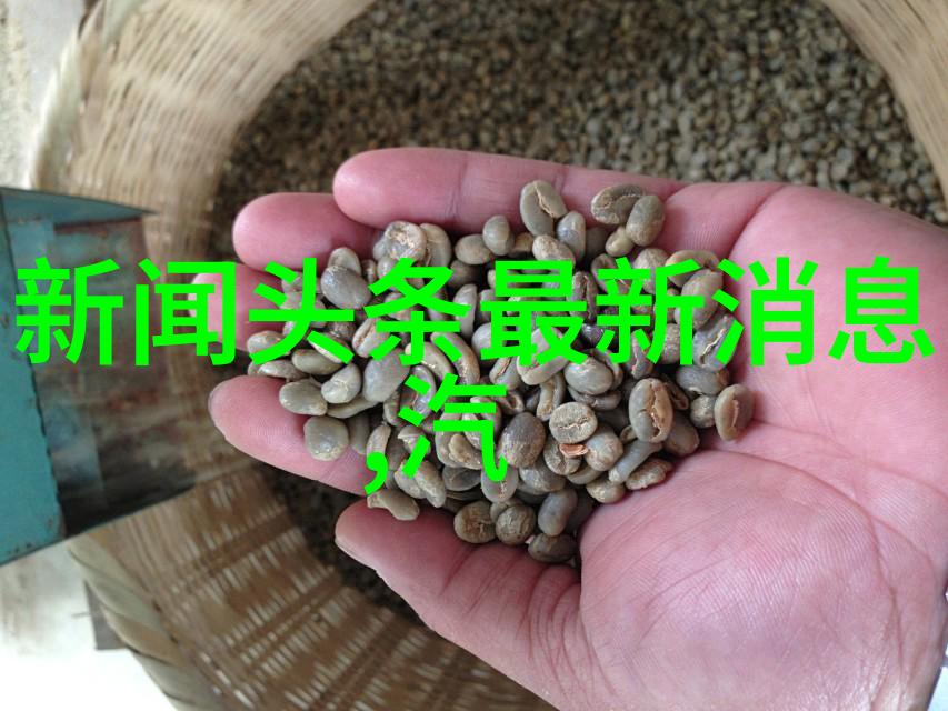 从寻找到欣赏茶杯狐助您一臂之力真的吗