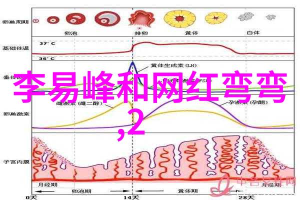 未来的超级大陆我眼中的那片神奇大陆