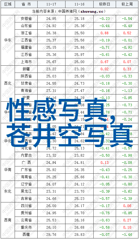 时光的织梦者