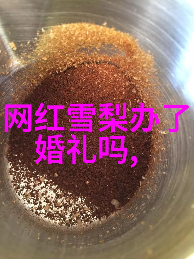 智慧无国界探索综艺节目的跨文化魅力