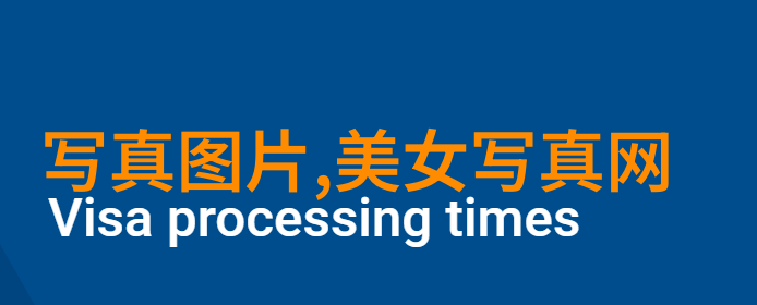 娱乐场所禁毒制度建设严格管理定期培训隐私保护