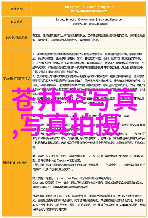 网红经济还能持续多久奥运冠军管晨辰退役了吗他在浙江大学是什么专业