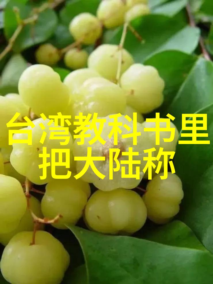 幕后大戏影视工场的欢笑与泪水