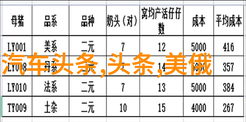 童话综艺我在这里唱歌跳舞我是小红帽