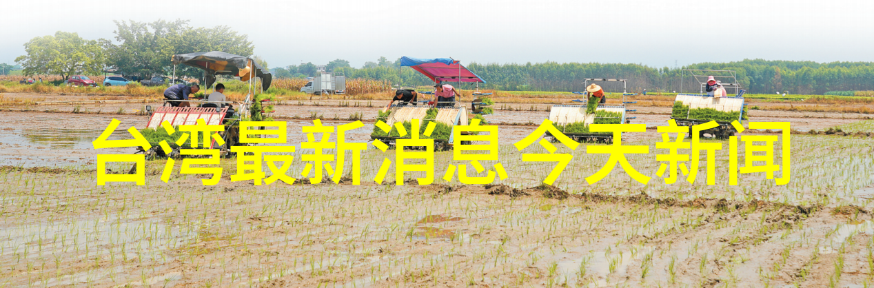 大海影视我在这片波涛汹涌的大海里遇见了电影的魅力