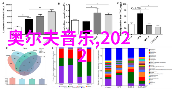 22232轴承高精度深沟球轴承的应用与优势