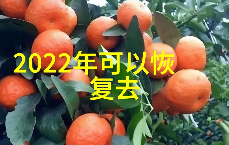 2022年网络歌曲排行榜最火热门曲目揭晓